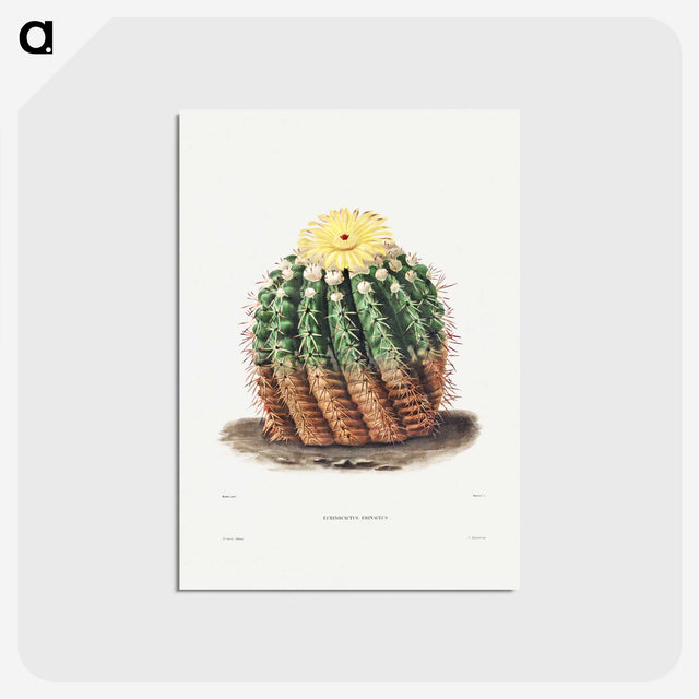 1-5_Charles-Antoine-Lemaire_postcard