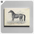 1-5_Charles-Hamilton-Smith_canvas