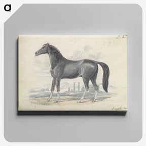 1-5_Charles-Hamilton-Smith_canvas