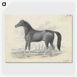1-5_Charles-Hamilton-Smith_picture-crop