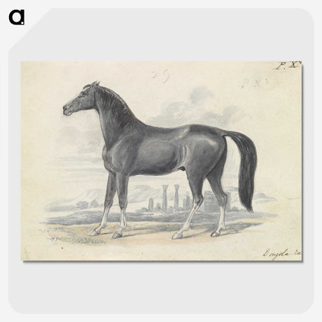 1-5_Charles-Hamilton-Smith_picture-crop