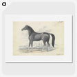 1-5_Charles-Hamilton-Smith_picture
