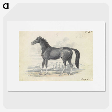 1-5_Charles-Hamilton-Smith_picture
