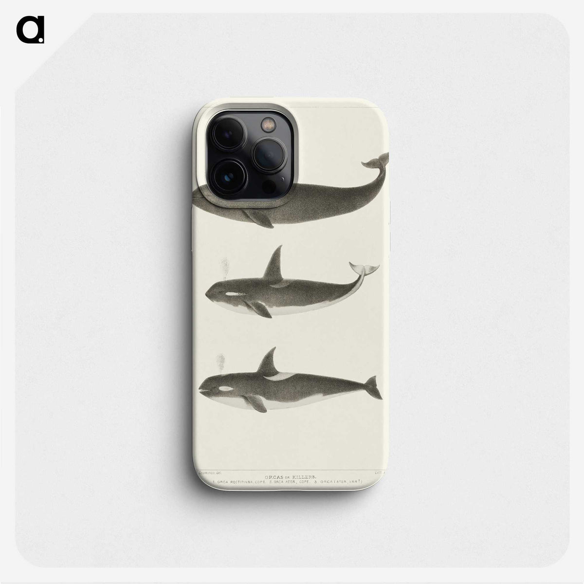 1-5_Charles-Melville-Scammon_phone