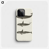 1-5_Charles-Melville-Scammon_phone