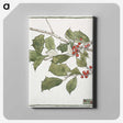 1-5_Christmas_canvas