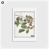 1-5_Christmas_hagaki