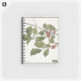 1-5_Christmas_memo