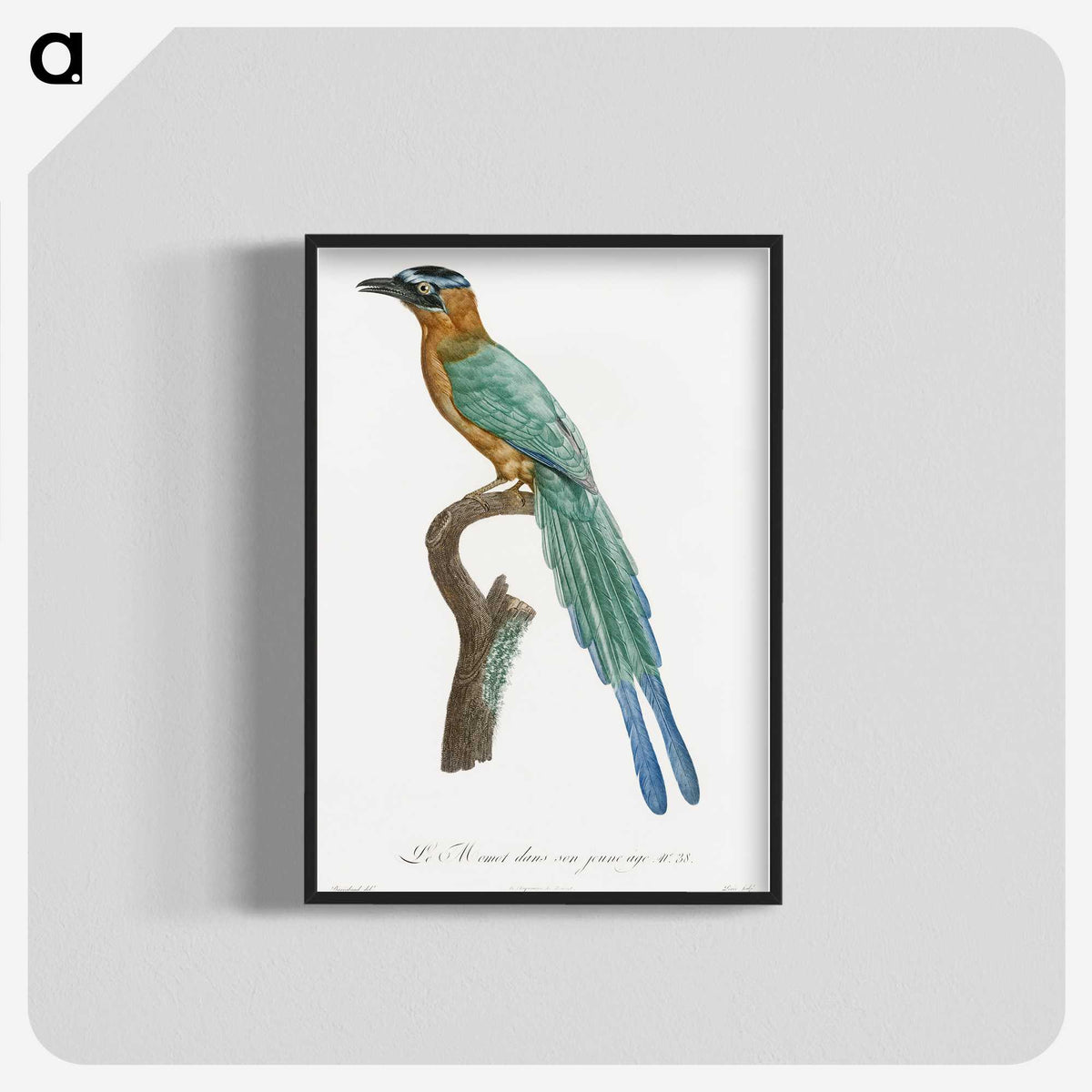 1-5_Des-Oiseaux-de-Paradis_blk-crop