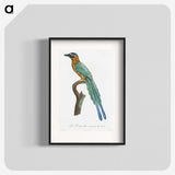 1-5_Des-Oiseaux-de-Paradis_blk