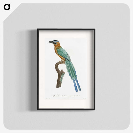 1-5_Des-Oiseaux-de-Paradis_blk