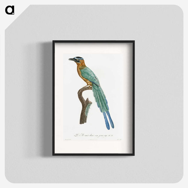 1-5_Des-Oiseaux-de-Paradis_blk