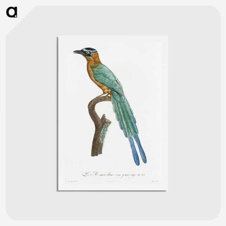 1-5_Des-Oiseaux-de-Paradis_hagaki
