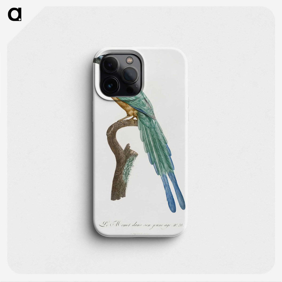 1-5_Des-Oiseaux-de-Paradis_phone