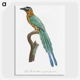 1-5_Des-Oiseaux-de-Paradis_picture-crop