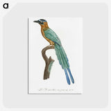 1-5_Des-Oiseaux-de-Paradis_postcard