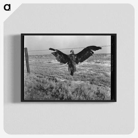 1-5_Dorothea-Lange_blk-crop