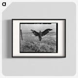 1-5_Dorothea-Lange_blk