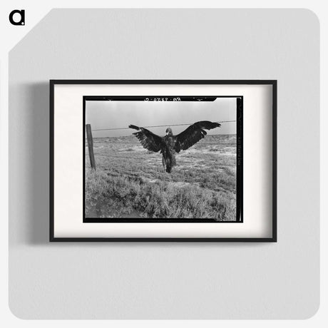 1-5_Dorothea-Lange_blk