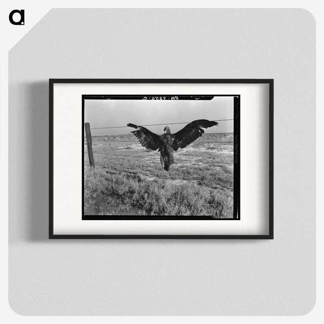 1-5_Dorothea-Lange_blk