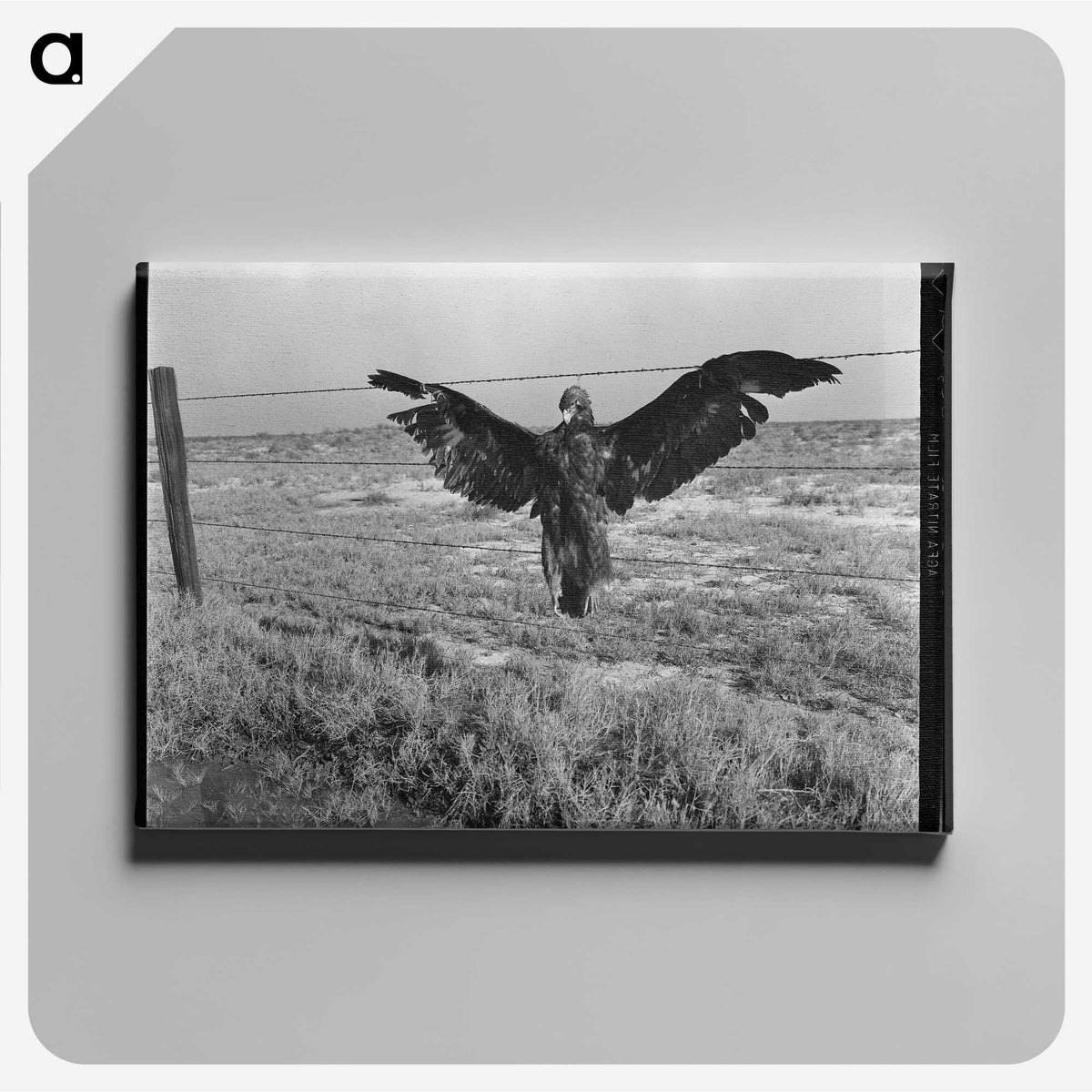 1-5_Dorothea-Lange_canvas