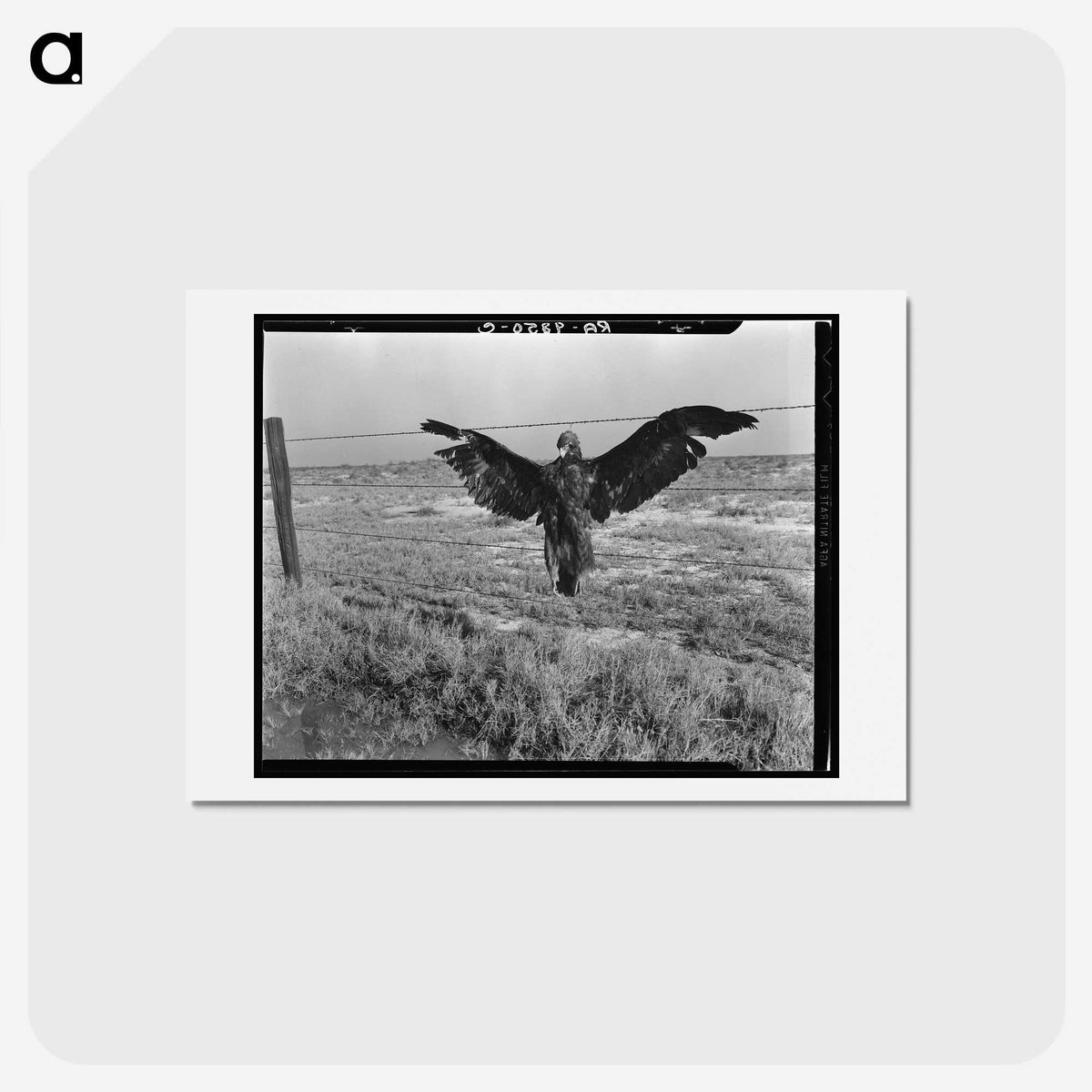 1-5_Dorothea-Lange_hagaki