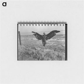アートメモ帳-A very blue eagle - ドロテア ラング Memo.