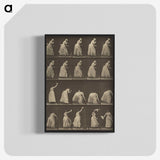 1-5_Eadweard-Muybridge_blk-crop
