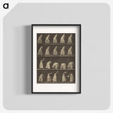 1-5_Eadweard-Muybridge_blk