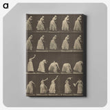 1-5_Eadweard-Muybridge_canvas