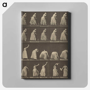 1-5_Eadweard-Muybridge_canvas