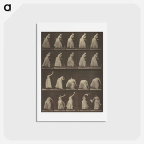 アートポストカード-Animal Locomotion
 - エドワード マイブリッジ Postcard.