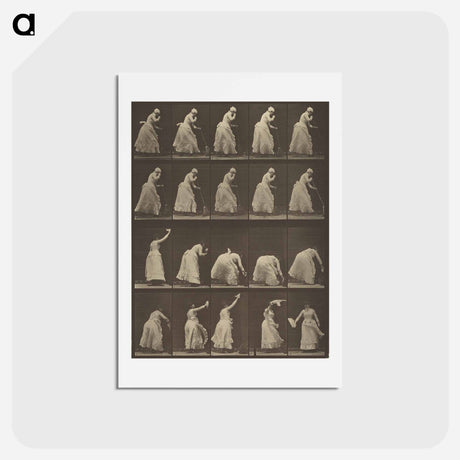 アートポストカード-Animal Locomotion
 - エドワード マイブリッジ Postcard.