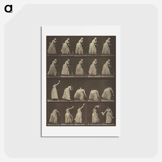 アートポストカード-Animal Locomotion
 - エドワード マイブリッジ Postcard.