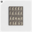 1-5_Eadweard-Muybridge_memo