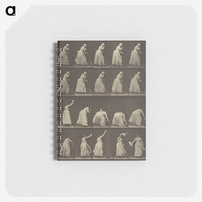 1-5_Eadweard-Muybridge_memo