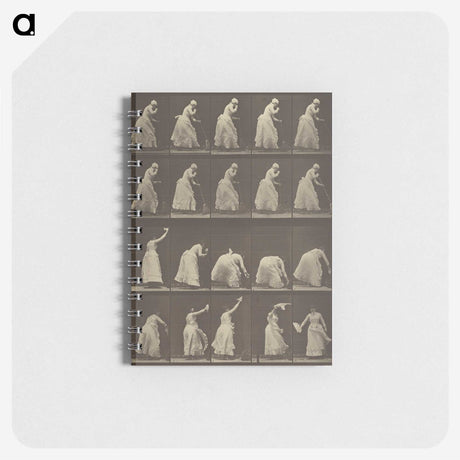 1-5_Eadweard-Muybridge_memo