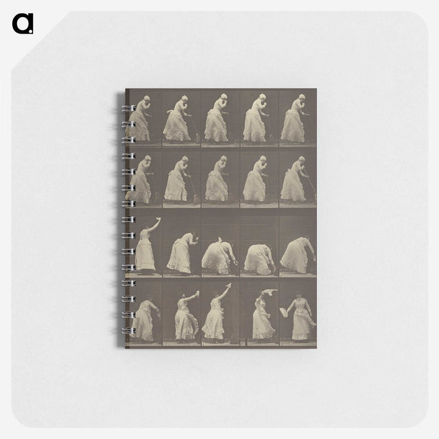1-5_Eadweard-Muybridge_memo