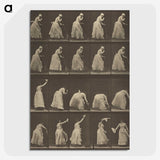 1-5_Eadweard-Muybridge_picture-crop