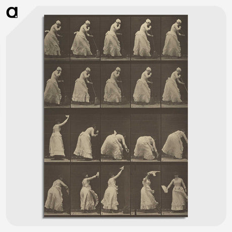 1-5_Eadweard-Muybridge_picture-crop
