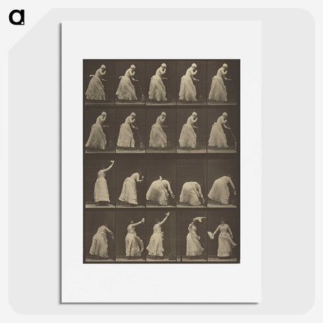 1-5_Eadweard-Muybridge_picture