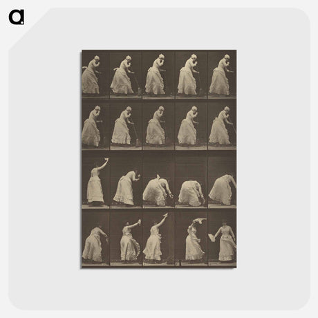 アートポストカード-Animal Locomotion
 - エドワード マイブリッジ Postcard.