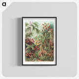 1-5_Ernst-Haeckel_blk-crop