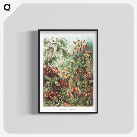 1-5_Ernst-Haeckel_blk-crop