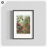 1-5_Ernst-Haeckel_blk