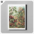 1-5_Ernst-Haeckel_canvas