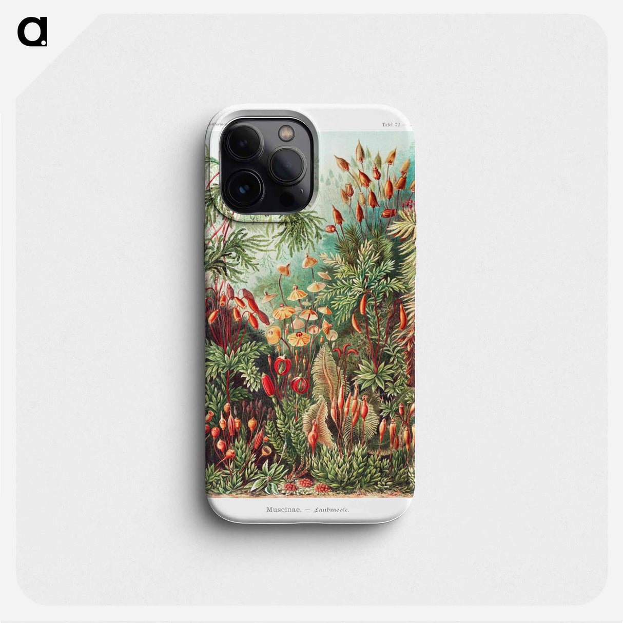 Muscinae–Laubmoose - エルンスト ヘッケル Phone Case.