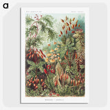1-5_Ernst-Haeckel_picture-crop