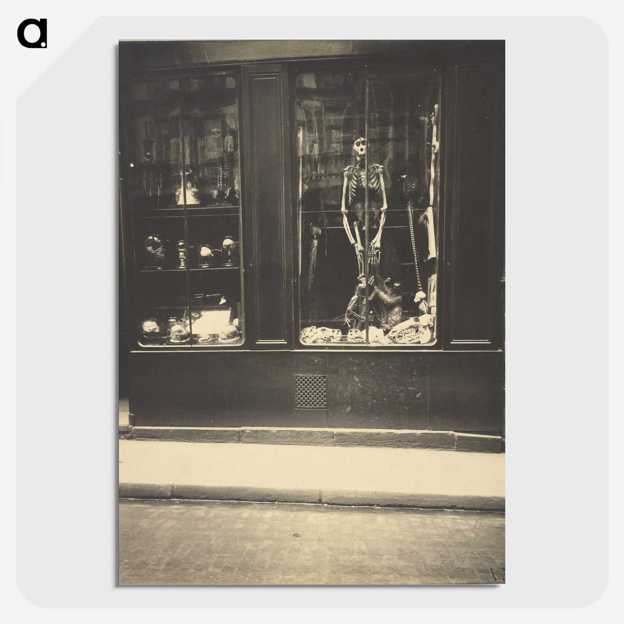 1-5_Eugene-Atget_picture-crop