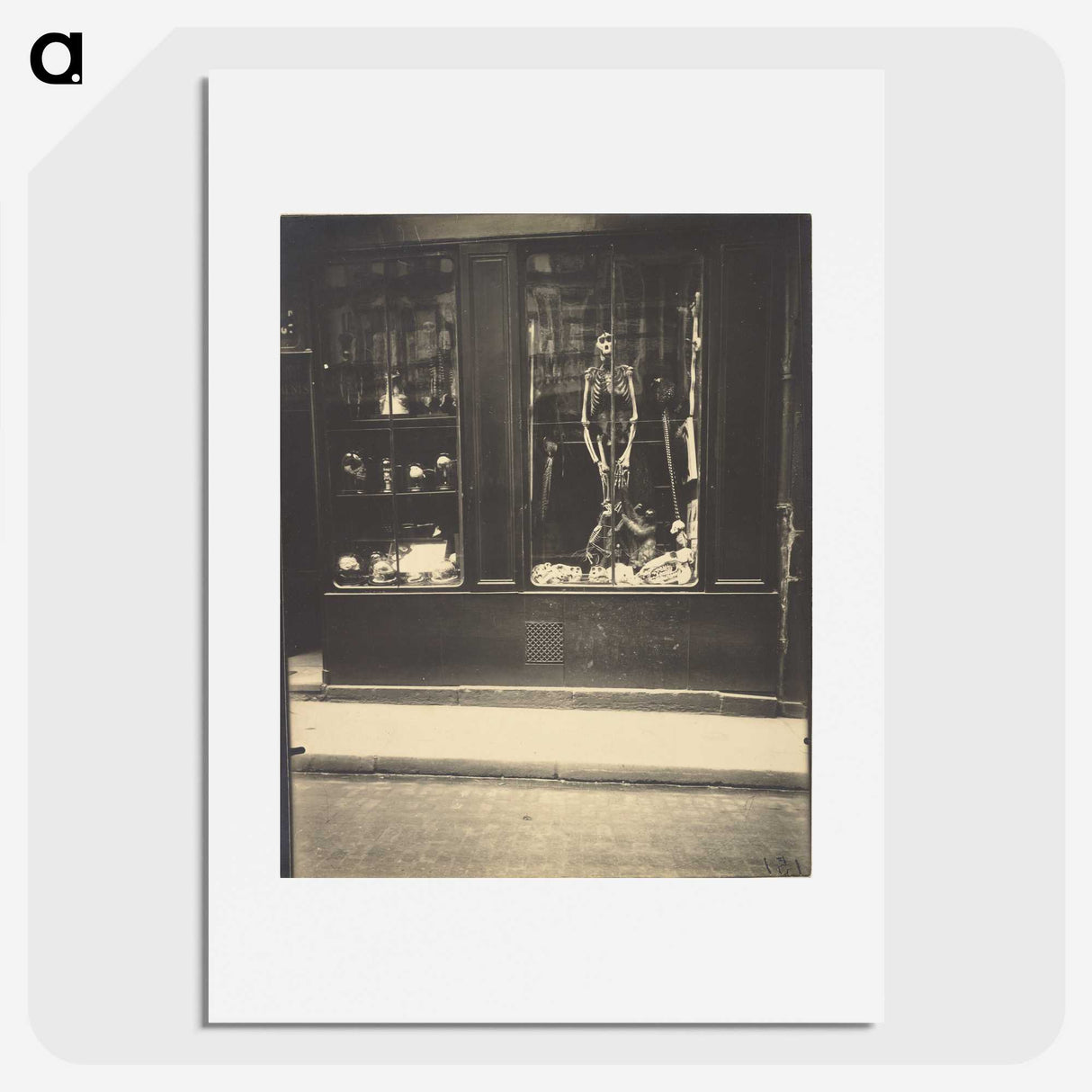 1-5_Eugene-Atget_picture